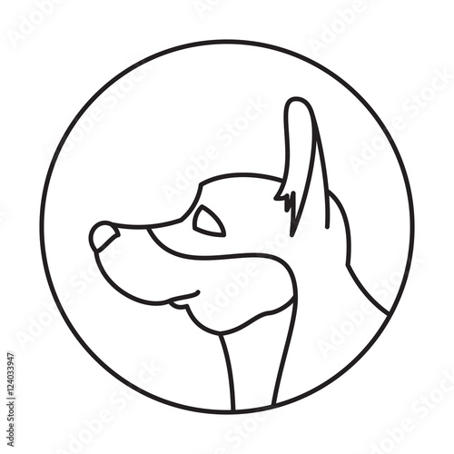Line corgi pembroke welsh head dog