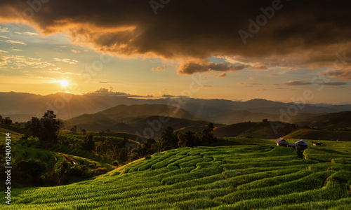 Terraced Rice Field