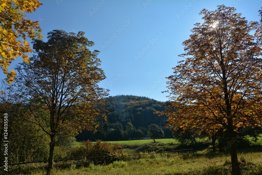 Herbstliche Landschaft mit Bäumen, blauem Himmel und strahlende Sonne