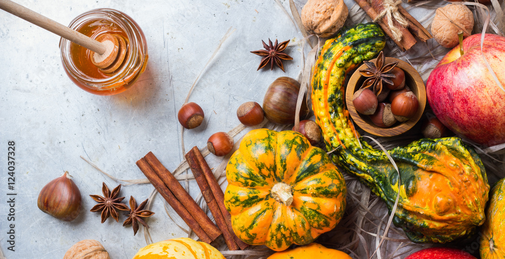 Autumn fall halloween still life composition with pumpkin nuts chestnut Autumn fall halloween still life composition with pumpkin nuts chestnut