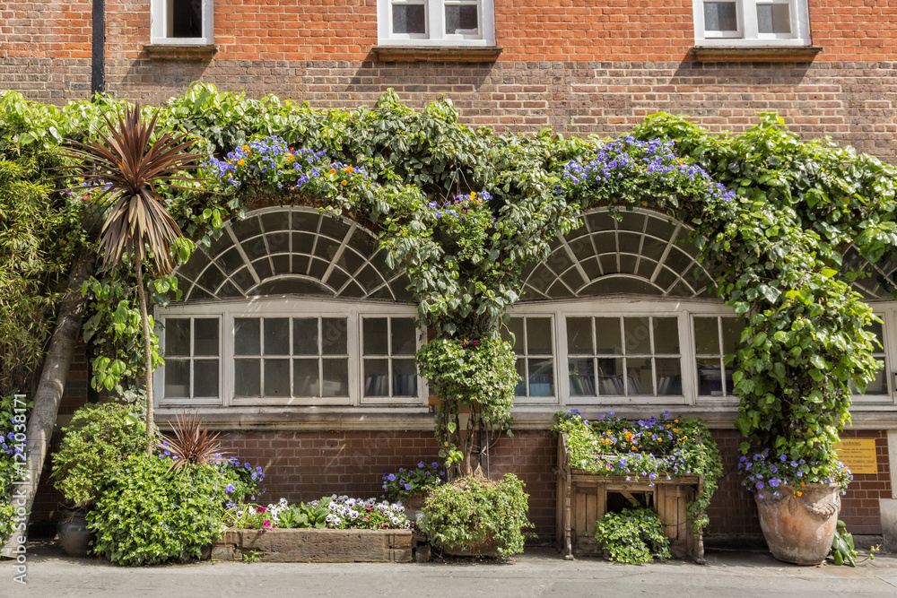 English windows English windows