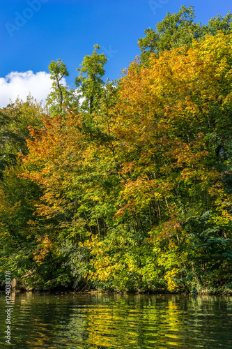 Herbst im Wald mit farbenfrohem Laub

