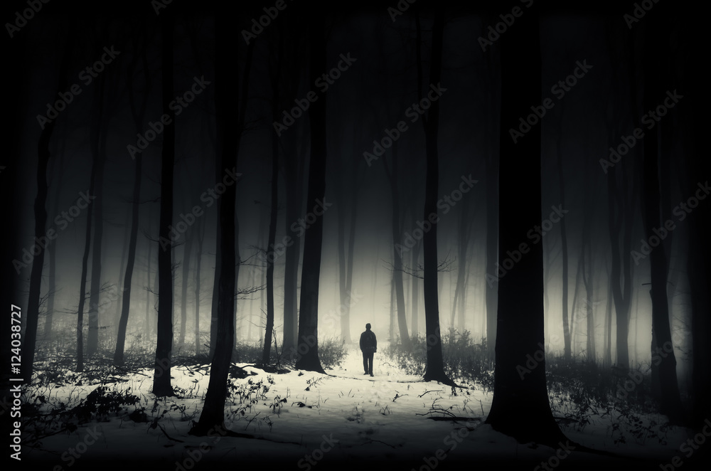 Naklejka premium ciemny zimowy las