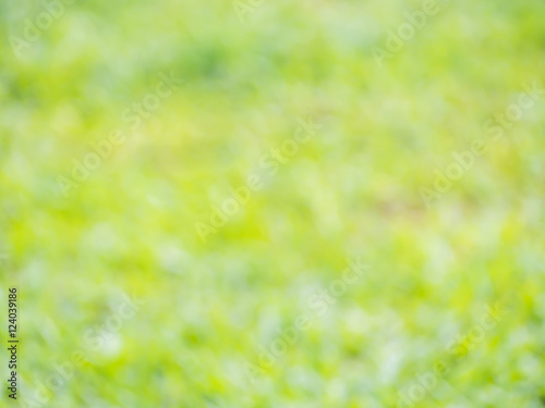 abstract blurry green nature background