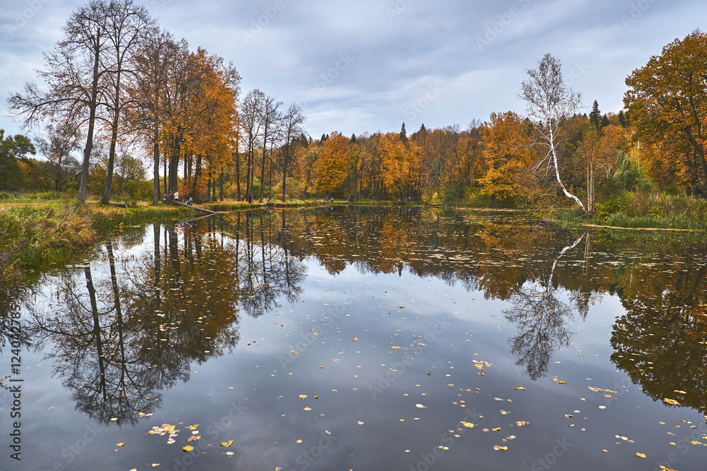 Fototapeta premium Reflections in autumn park