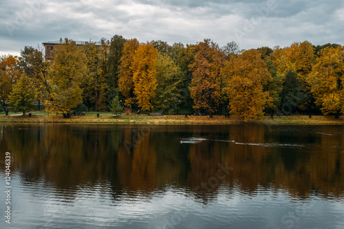 Wallpaper Mural Colorful foliage in the autumn park Torontodigital.ca