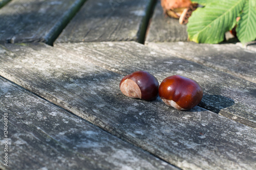 Fresh chestnuts on wooden background © barmalini