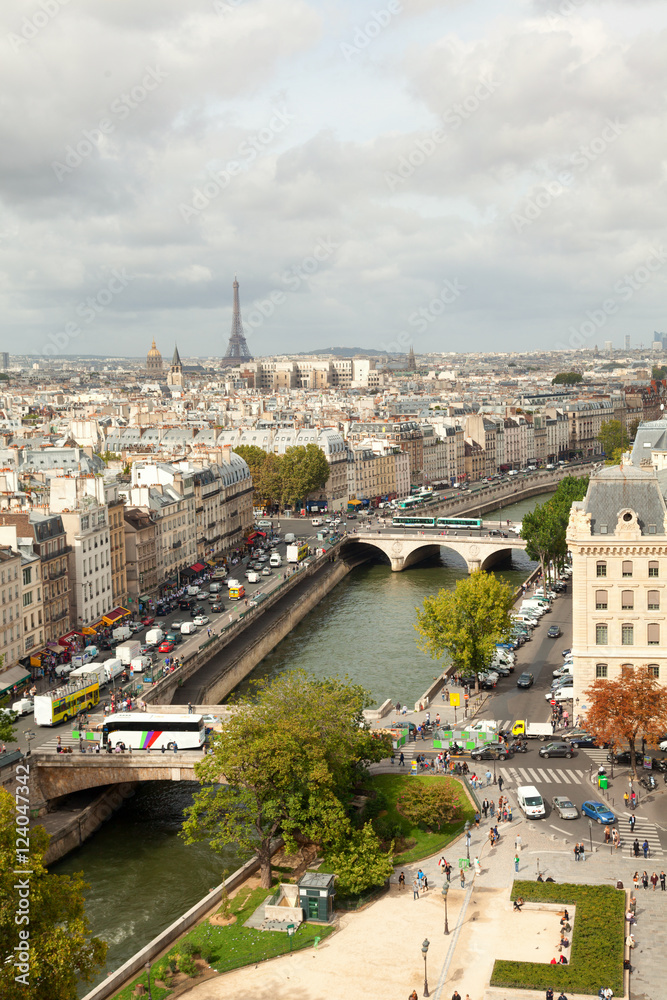 Paris skyline from Notre Dame cathedral. River on foreground, Ei