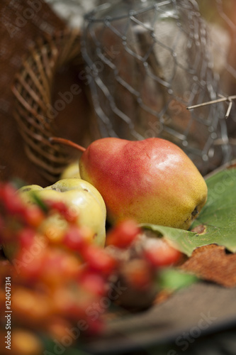 Autumn fruit close up, pears  photo