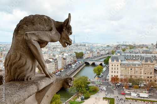 Gargoyle of Notre Dame in Paris. River and Eiffel tower on backg © ivanmateev