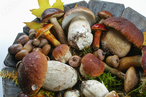 Mix of fresh wild mushrooms (boletus edulis) on wooden plate 