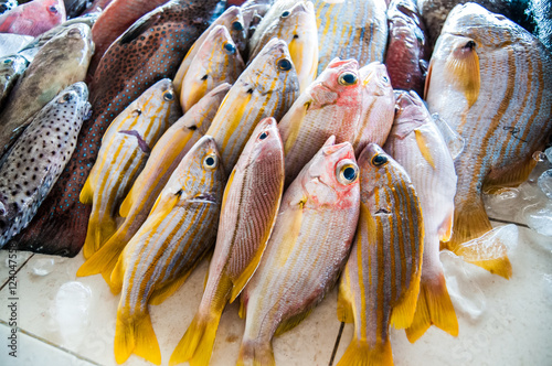 Fresh fish being sold at a local fish market.  This fish will endup on families dinner table in the form of amazing local seafood cuisine.  Location: Lido, Kota Kinabalu, Sabah, Malaysia. photo