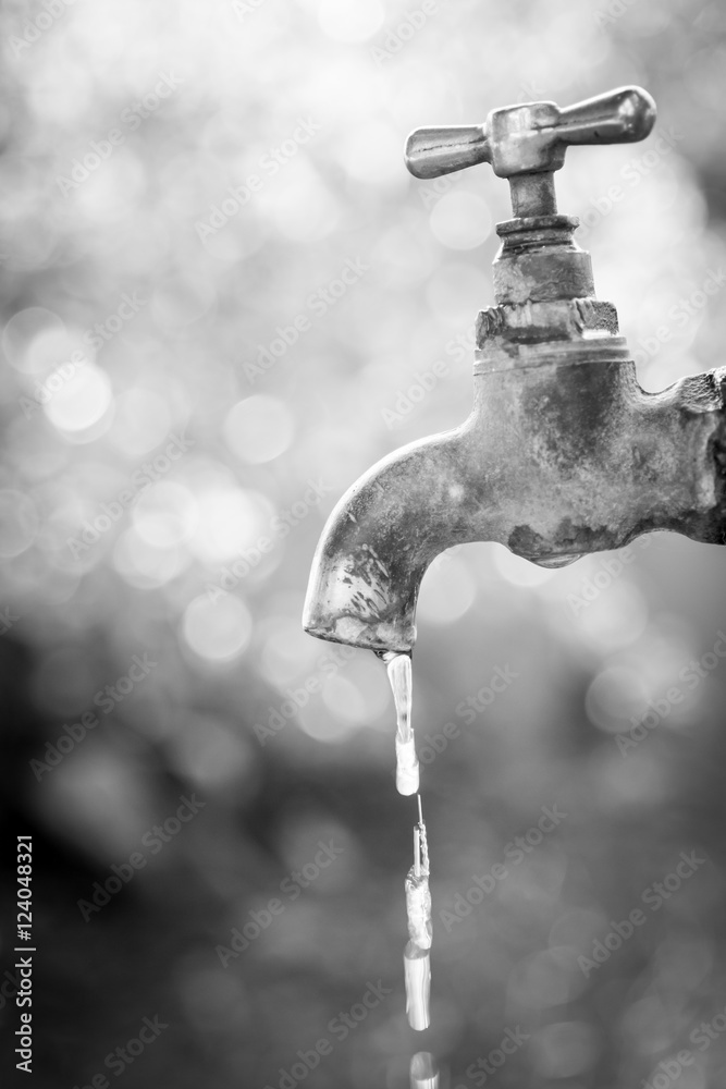Brass water tap in nature background.(Processed in monochrome colour tone) Brass water tap in nature background.(Processed in monochrome colour tone)