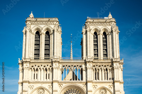 Notre Dame de Paris close-up view
