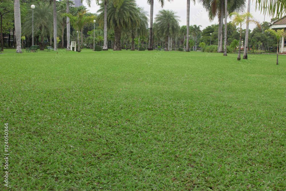 Obraz premium garden background