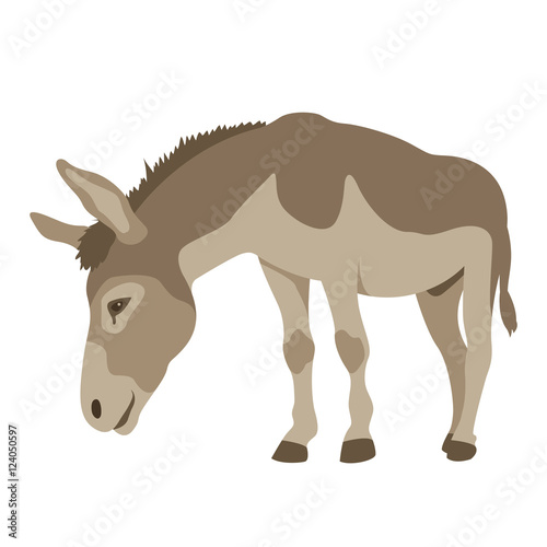 Donkey vector illustration style Flat