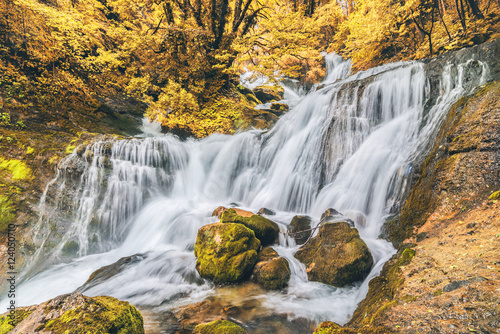autumn forest waterfall water nature wild river outdoor