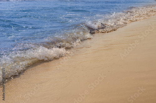 Beautiful little wave of the Sea covering a sandy beach