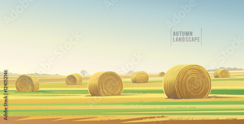 Autumn rural  landscape from agricultural field and bales of hay. Vector illustration.