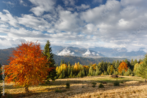 Landscape. Autumn day in the mountains. Carpathians. Sight of the valley.