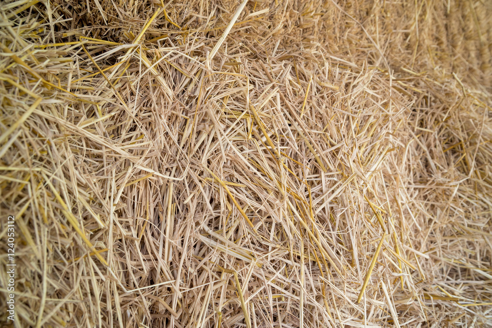 Background texture of large stacks of hay in a barn. Agriculture and harvest concept. Background texture of large stacks of hay in a barn. Agriculture and harvest concept.
