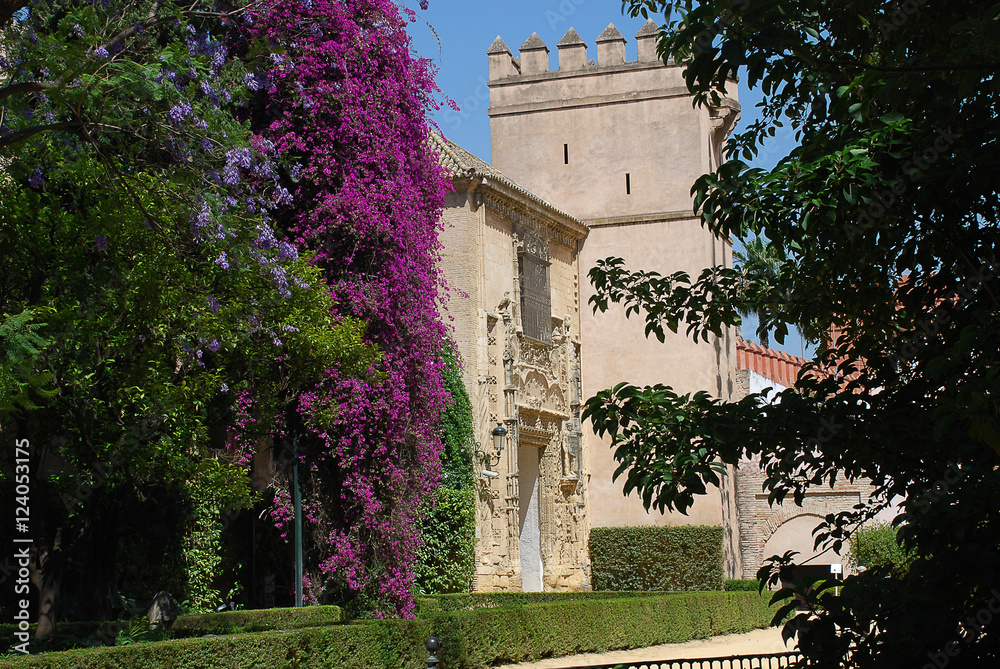 Naklejka premium Seville (Spain): The Alcázar Gardens