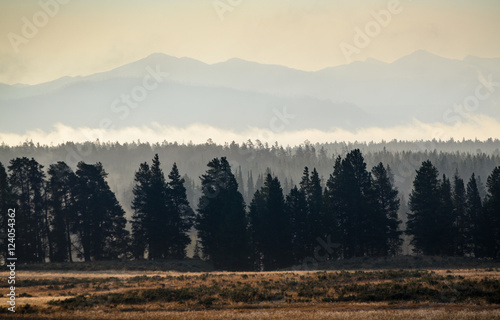 Yellowstone National Park