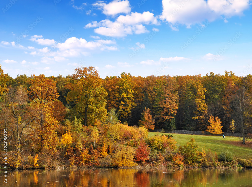 Autumn in the Park