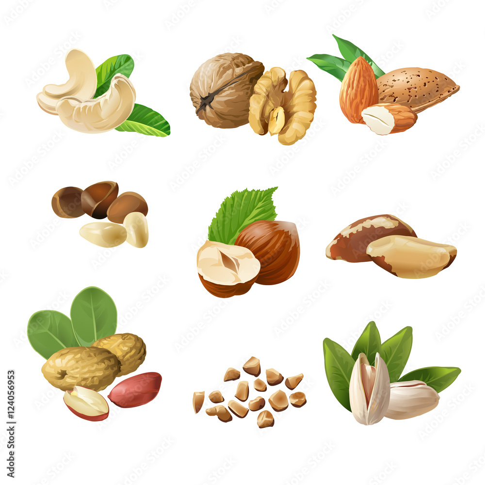 Set vector icons of nuts Set vector icons of nuts