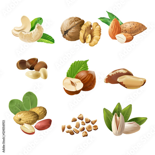 Set vector icons of nuts
