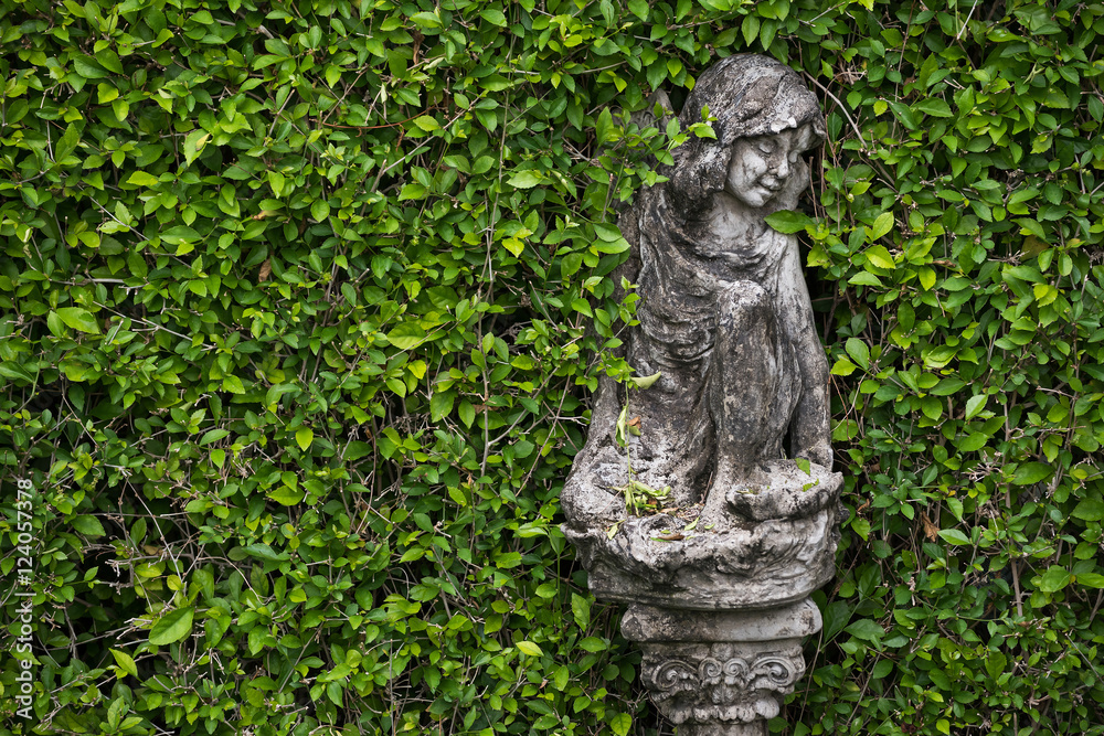 statues with green leaves background in garden statues with green leaves background in garden