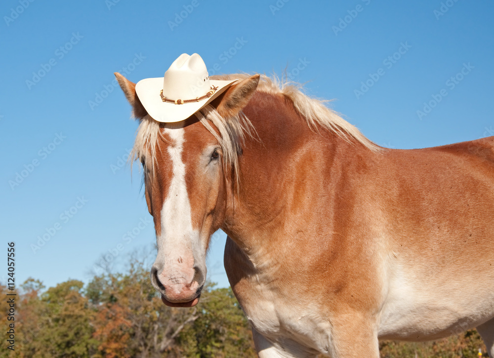 Funny cowboy sales hat