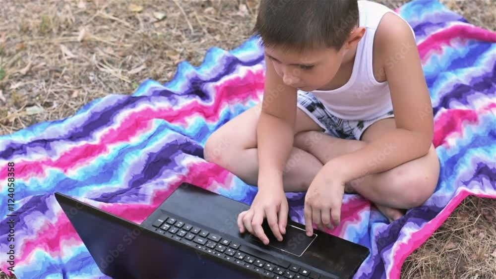 The boy checks e-mail on the laptop. Six-year-old boy with a laptop resting in the Park