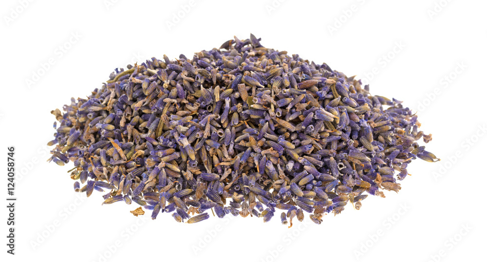 Lavender flower petals on a white background Lavender flower petals on a white background