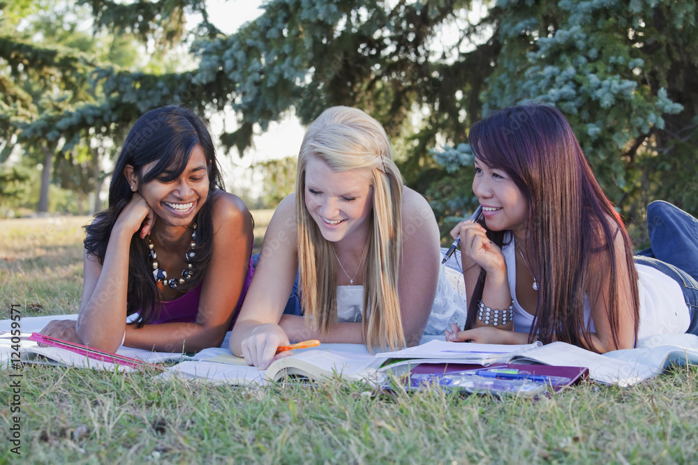 Friends Doing Homework Together In A Park; Edmonton, Alberta, Canada Friends Doing Homework Together In A Park; Edmonton, Alberta, Canada