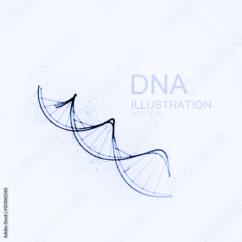 DNA chain vector illustration.
