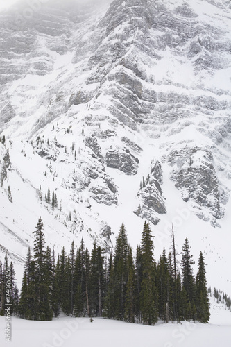 Evergreen Trees On A Shoreliine Of A Snow Covered Lake Against A Snowy Mountain Wall; Kananaskis Country, Alberta, Canada photo