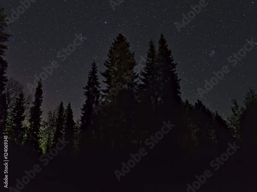 Night time forest with starry sky. Natural poster.