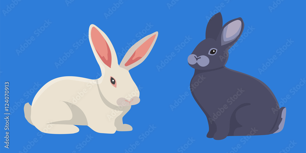 vector illustration of cartoon rabbits. set drawing isolated rabbit. vector illustration of cartoon rabbits. set drawing isolated rabbit.