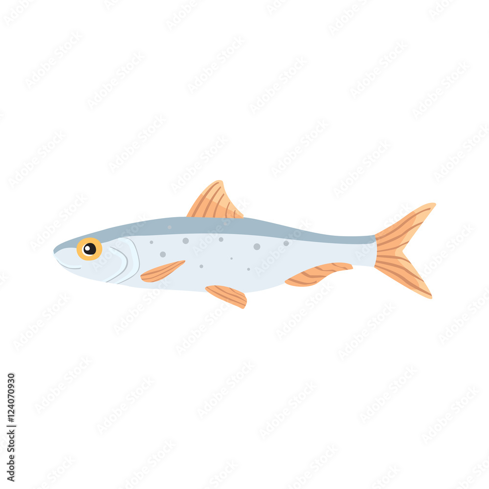 sardina fish vector isolated illustration. Cartoon fresh  flat drawing.