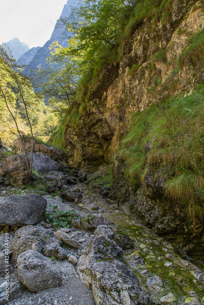 Steiniger und nasser Wanderpfad Im Bachbett, Tal Valle di Piero; Dolomiten Sommer Steiniger und nasser Wanderpfad Im Bachbett, Tal Valle di Piero; Dolomiten Sommer
