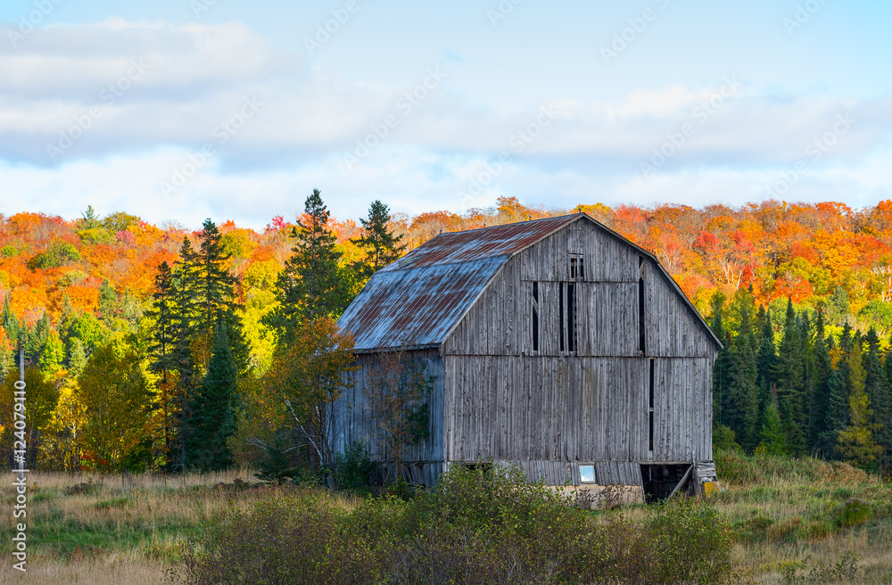 Old wooden barn against colorful trees Old wooden barn against colorful trees