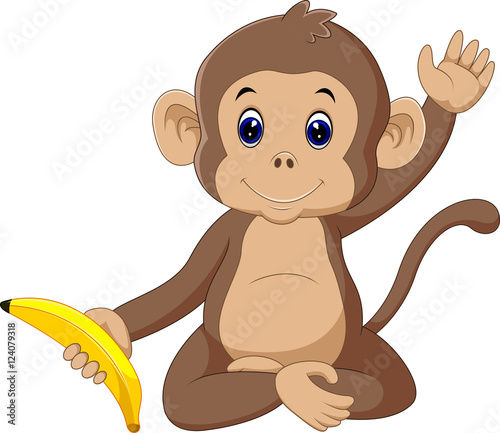 cute monkey