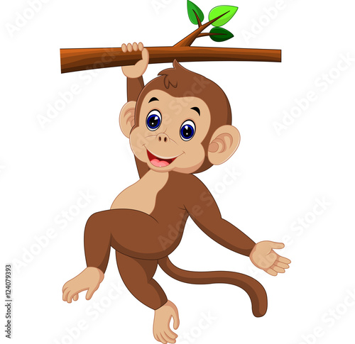 cute monkey