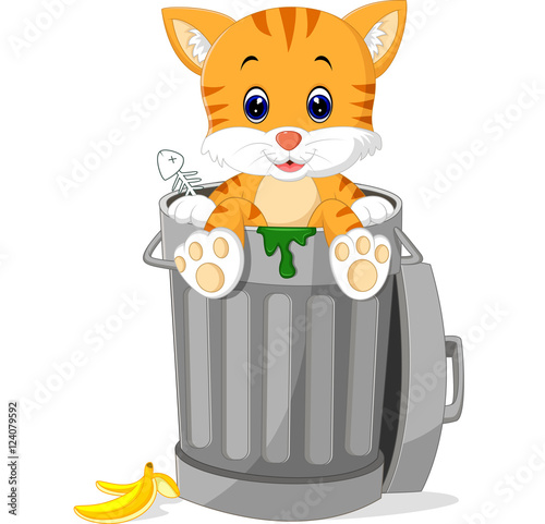 cat looking out trash can