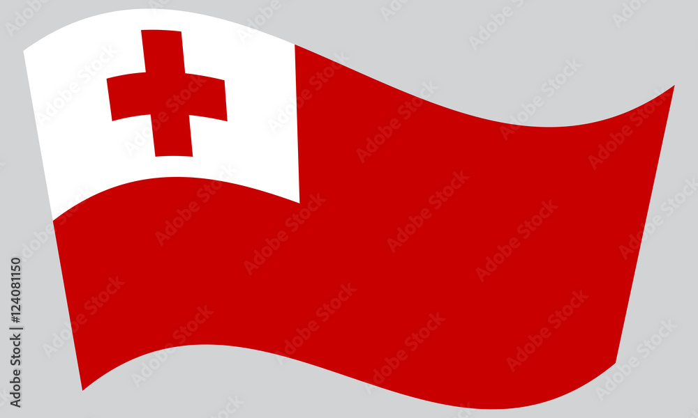Flag of Tonga waving on gray background