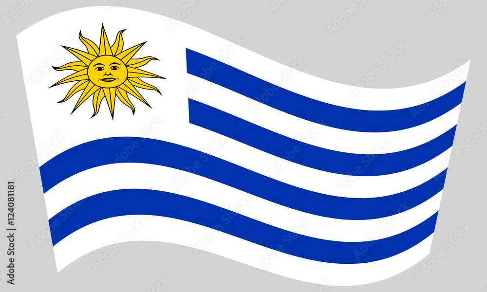 Flag of Uruguay waving on gray background Flag of Uruguay waving on gray background