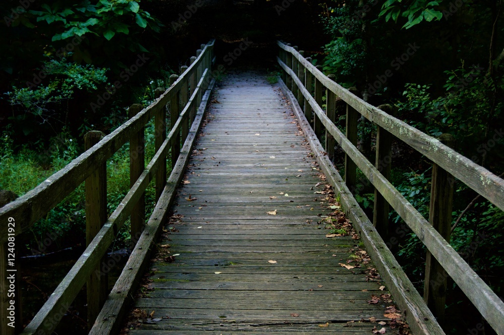 Wooden Bridge Leading into the Wood