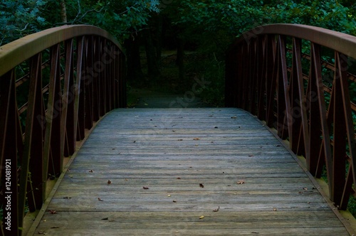 Wooden Bridge Leading into the Wood photo