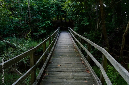 Fototapeta Naklejka Na Ścianę i Meble -  Wooden Bridge Leading into the Wood